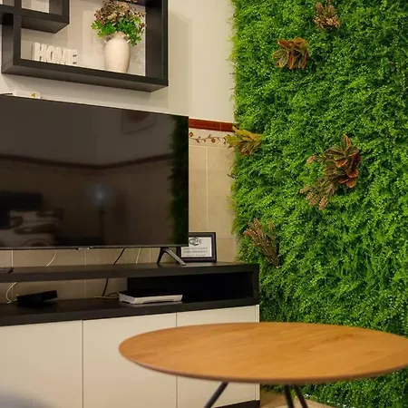 Milena's House Apartamento Nazaré